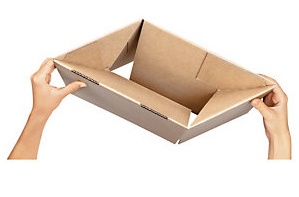 Persona Descortés Regularidad Caja de cartón con fondo automático - Envase y Embalaje - Caja de cartón  con fondo automático