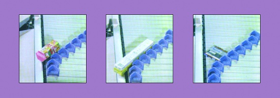 Foto de Sistema de clasificación