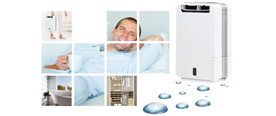 Picture of Dehumidifiers