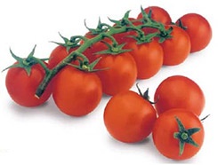 Fotografia de Semillas de tomate