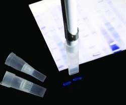 Foto de Puntas para escisión de gel desechables