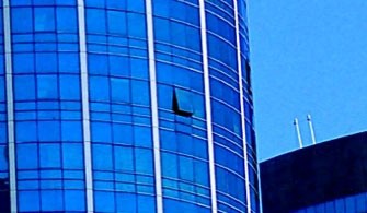 Foto de Proyectantes