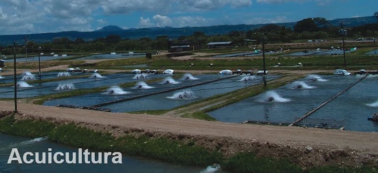 Foto de Seguro de acuicultura