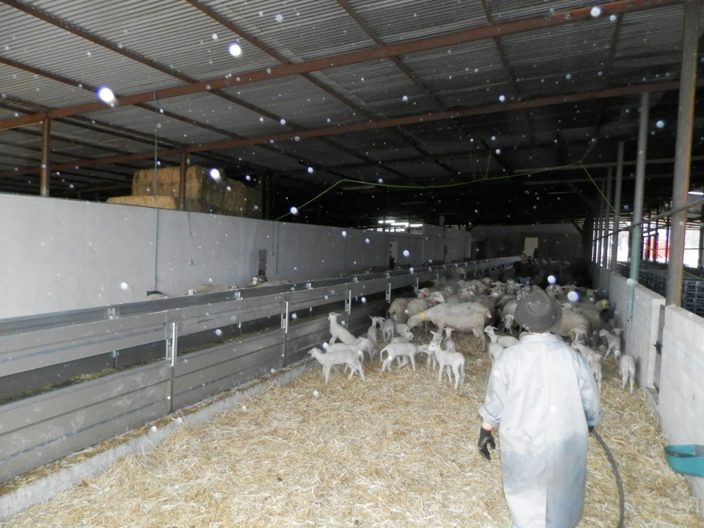 Foto deCintas de alimentación