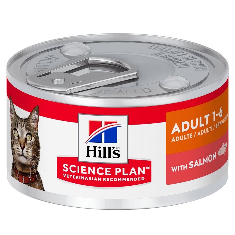 Foto de Alimentos húmedos para gatos adultos