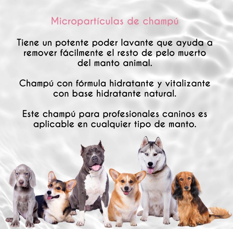 Foto deMicropartículas de champú para perros