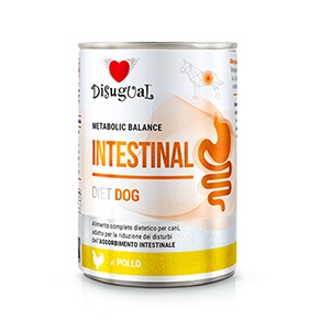 Foto de Alimento húmedo para perros con problemas intestinales