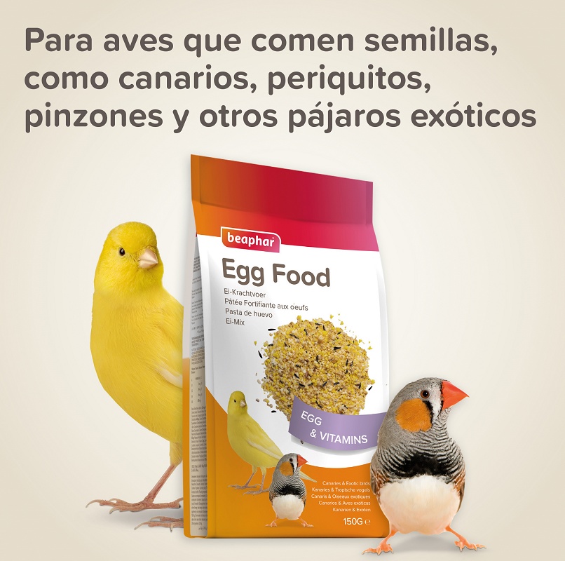 Foto dePasta de huevo para canarios