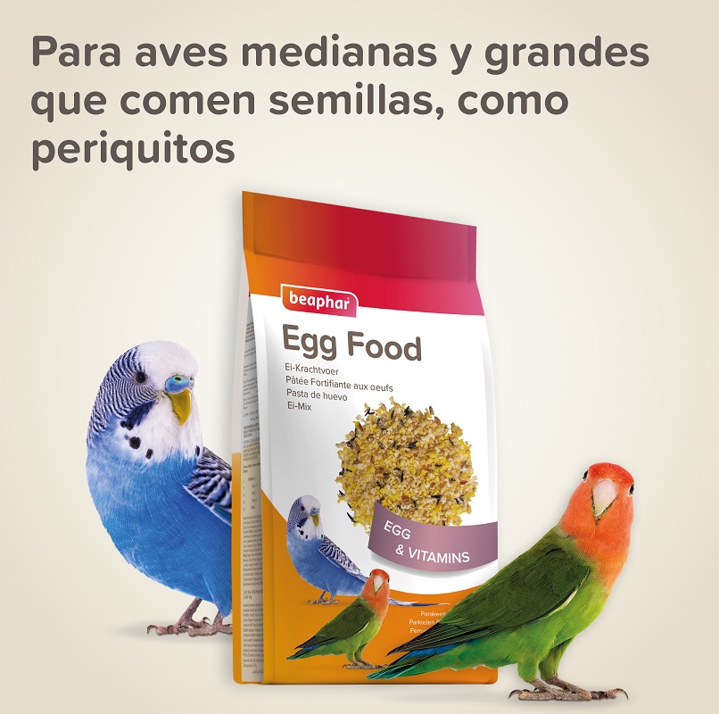Foto dePasta de huevo para periquitos, agapornis y pequeñas cotorras