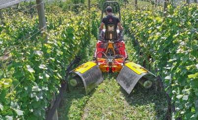 Foto de Rotores desmalezadores a hilos