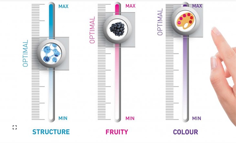 Foto de Termovinificación