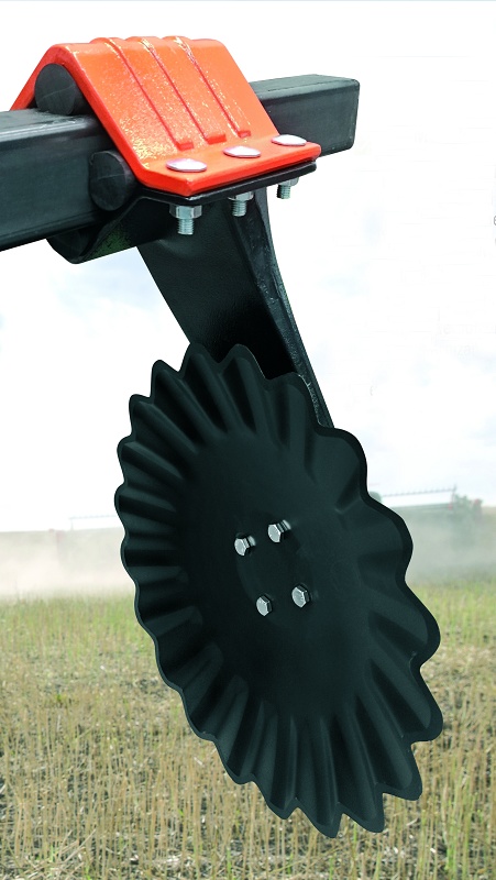 Foto de Gradas rápidas con elastómero