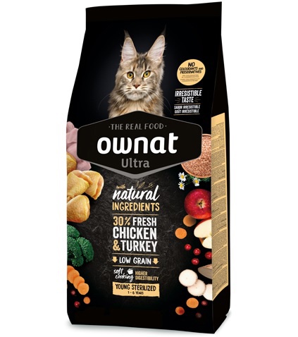 Foto de Pinesos para gatos