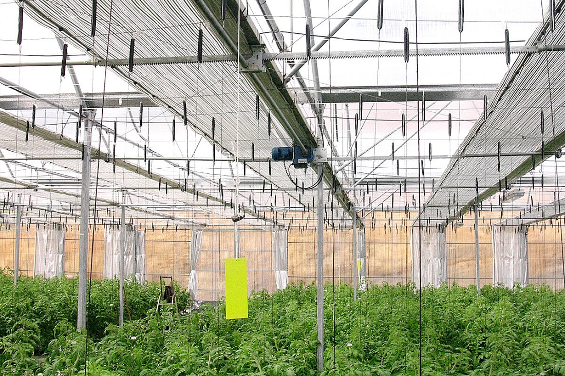 Foto dePantallas para invernaderos