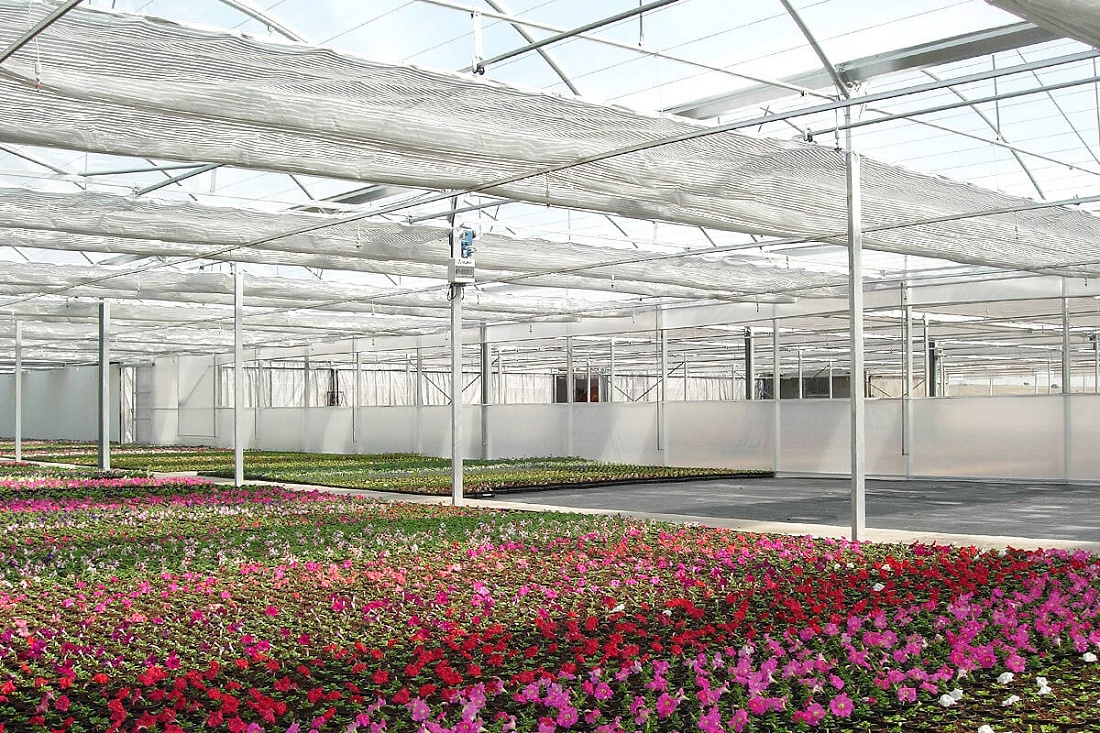 Foto dePantallas para invernaderos