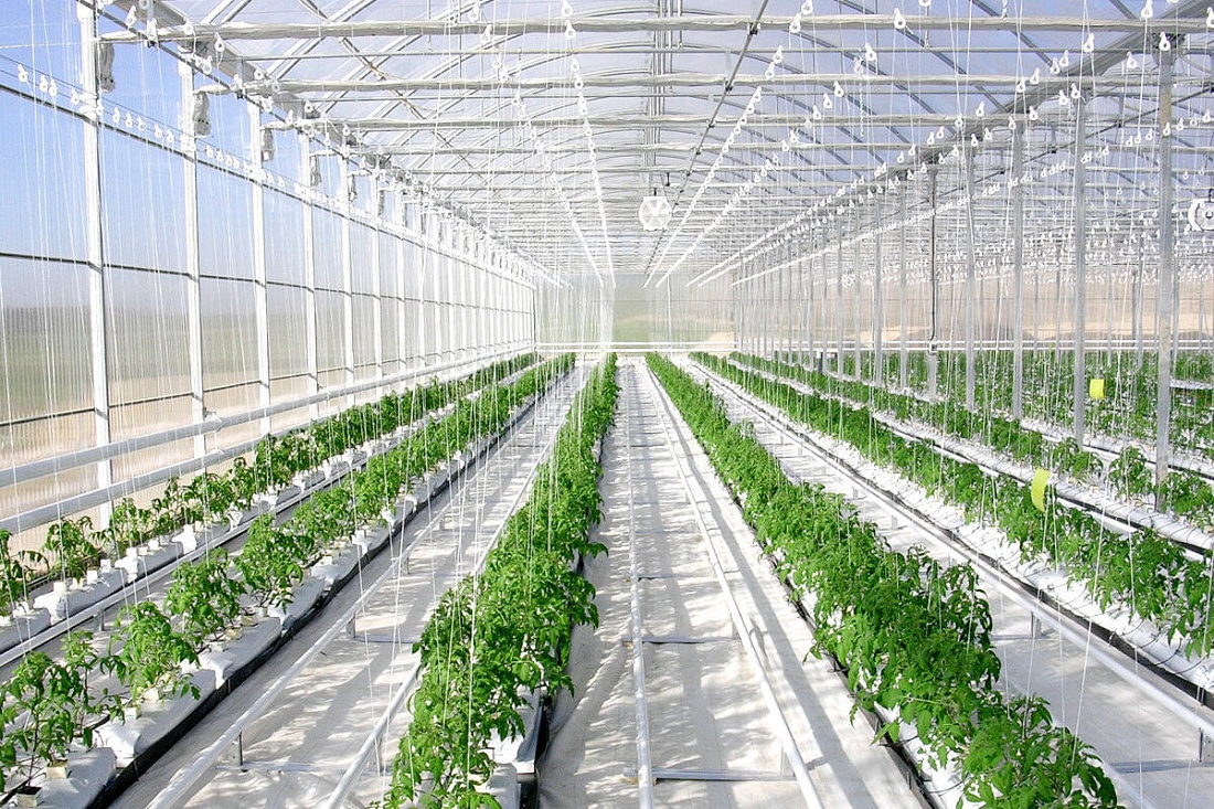 Foto de Calefacción de agua para invernaderos