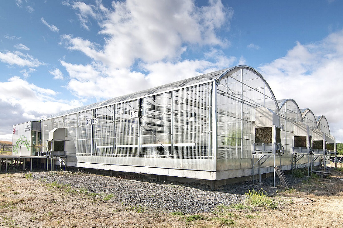 Foto deSistemas de enfriamiento para invernaderos