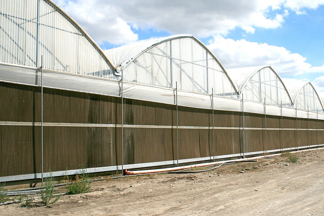 Foto de Sistemas de enfriamiento para invernaderos