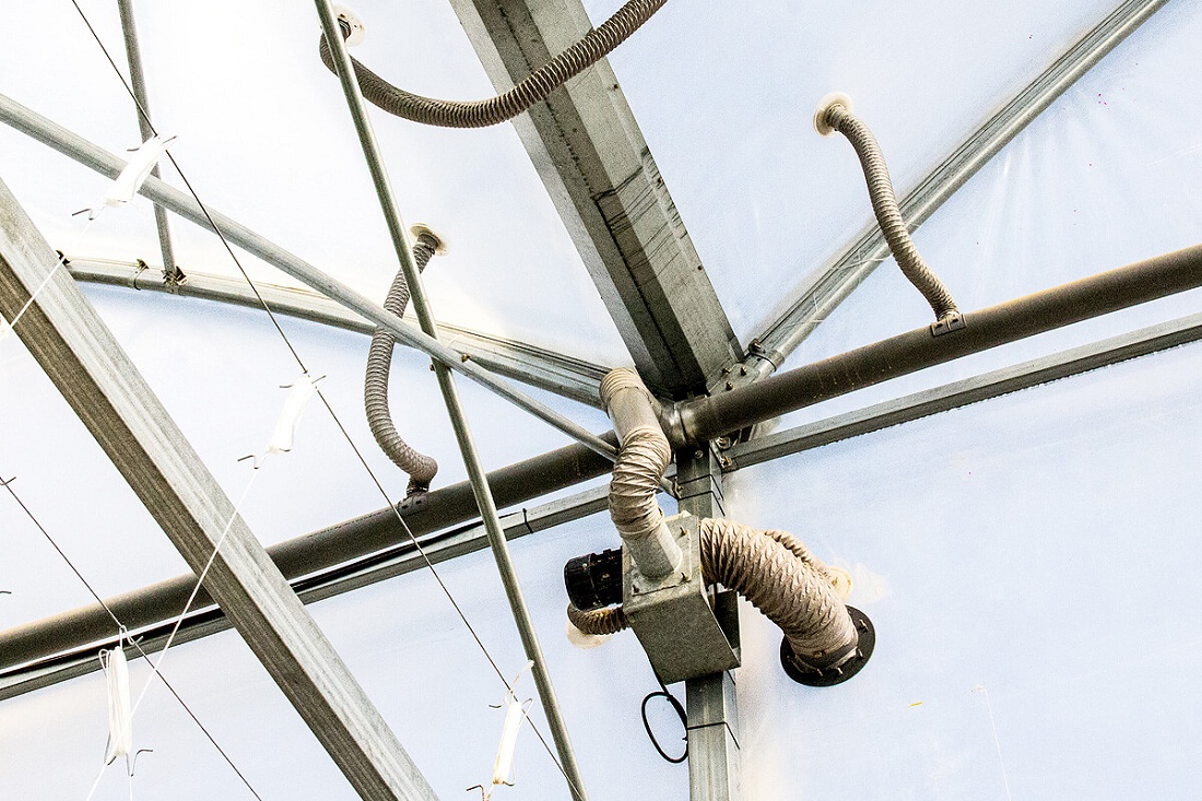 Foto deDoble cámara para invernaderos