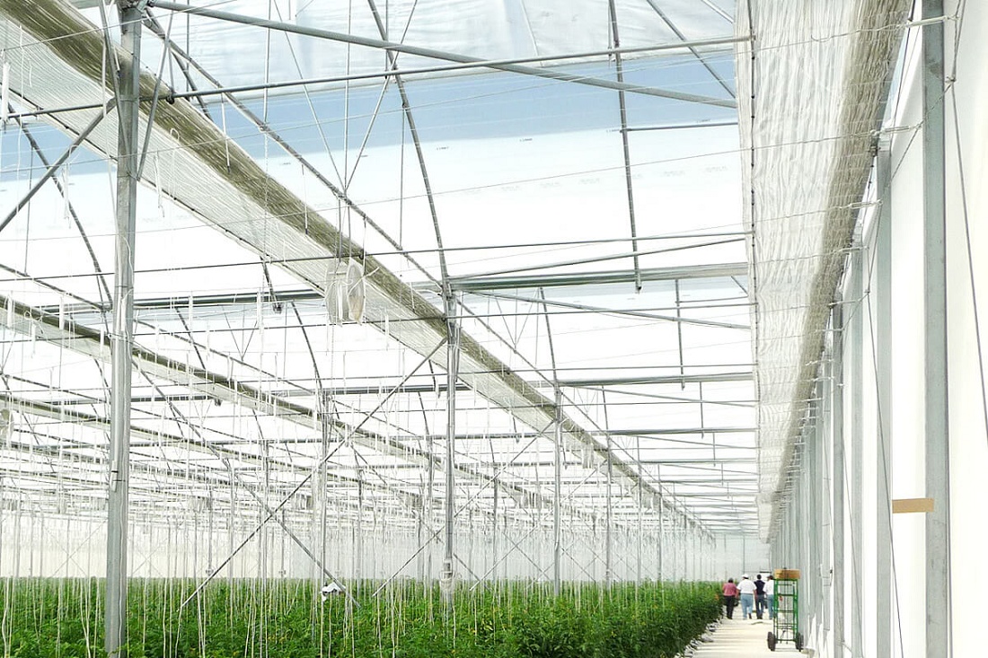 Foto de Sistema de cables