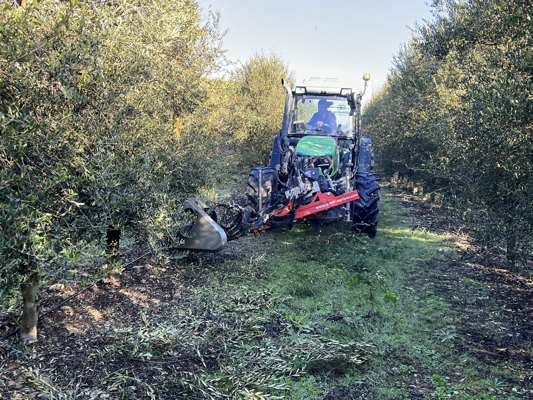 Foto dePrepodadoras de bajos