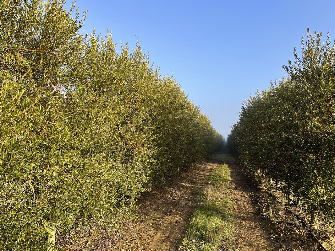 Foto dePrepodadoras de bajos
