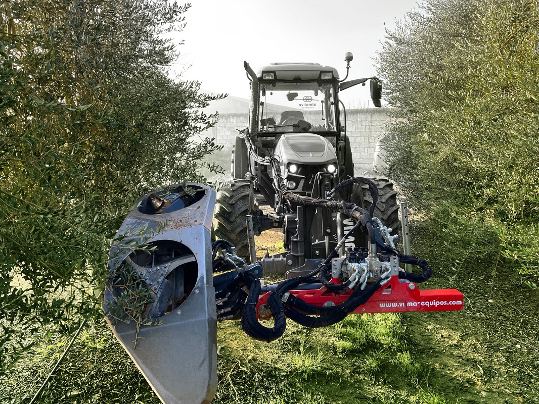 Foto de Prepodadoras de bajos