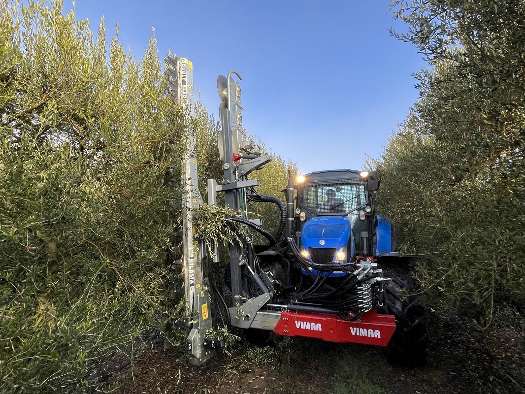 Foto de Prepodadoras