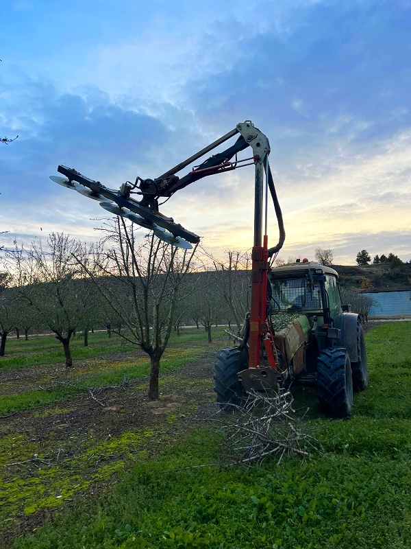 Foto dePrepodadoras discos