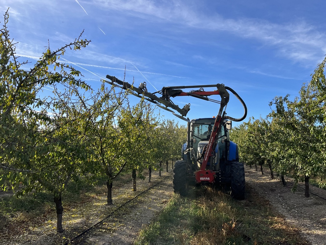 Foto de Prepodadora de discos