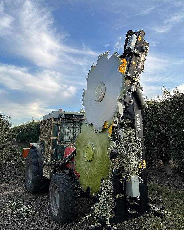 Foto de Prepodadoras