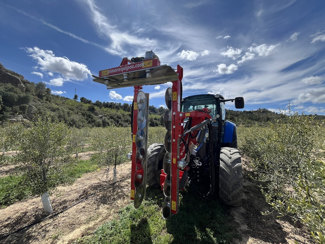 Foto de Prepodadoras