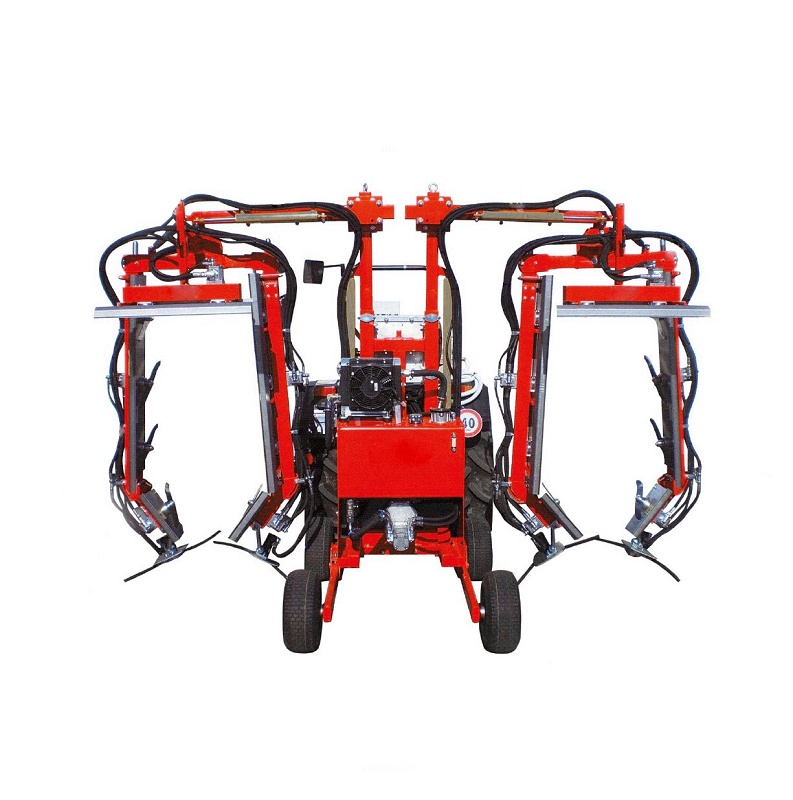 Foto de Prepodadoras de túnel