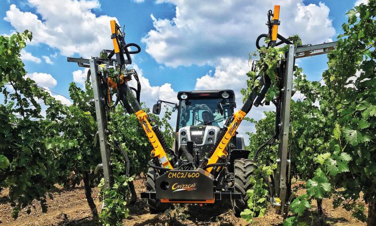 Foto de Despuntadoras