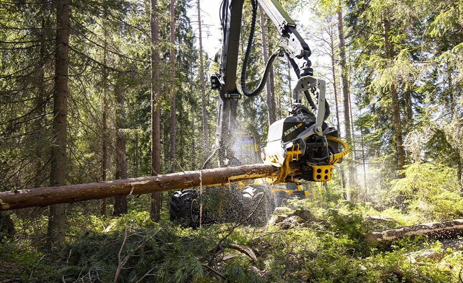 Foto de Procesadoras de madera