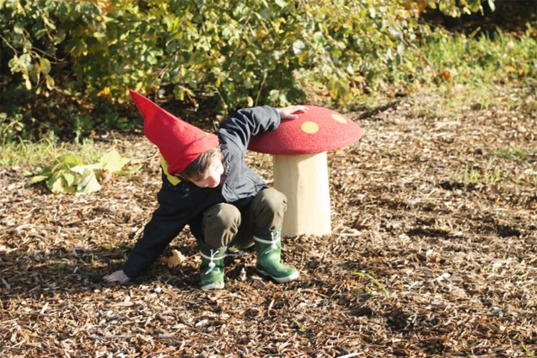 Foto deSetas de robinia