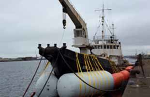 Foto de Defensas inflables