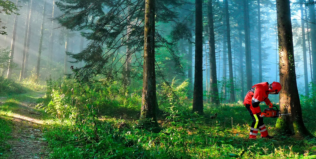 Foto de Ropa laboral