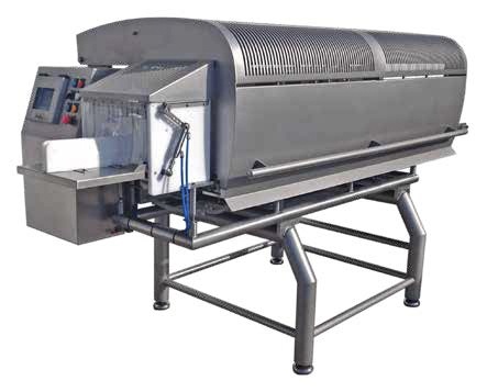 Foto de Fileteadoras de salmón