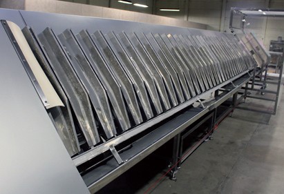 Foto de Evisceradoras de pescado