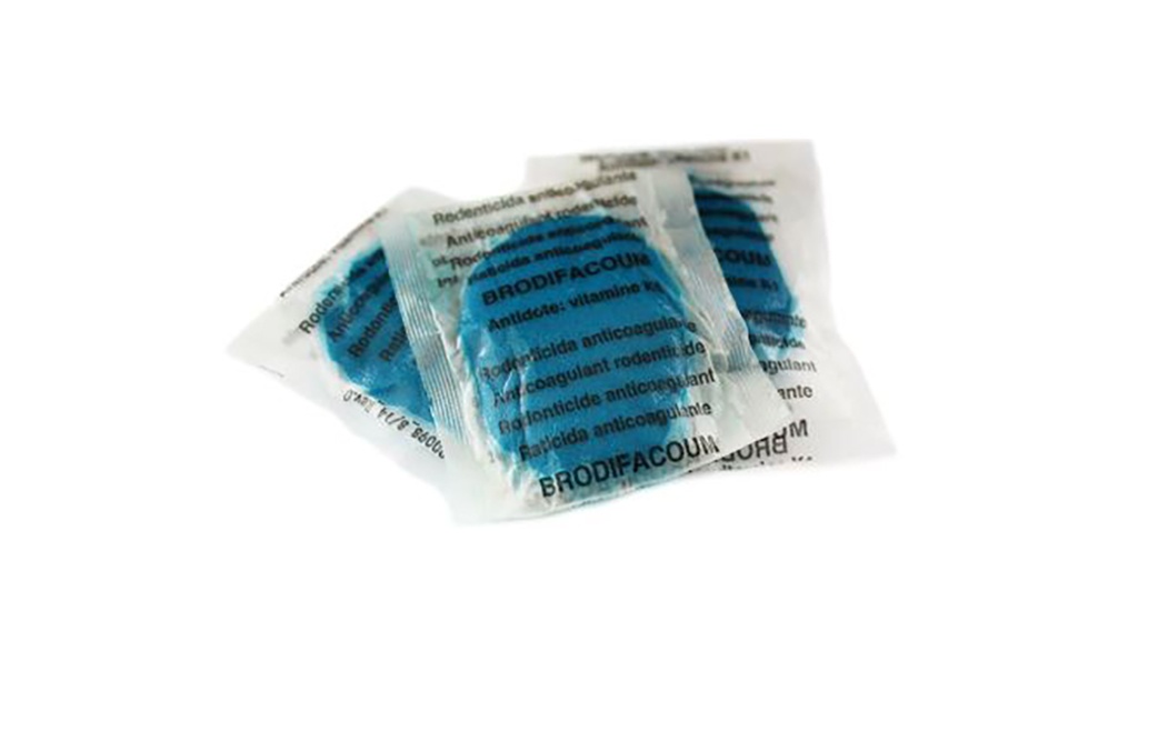 Foto de Cebos frescos uniformes