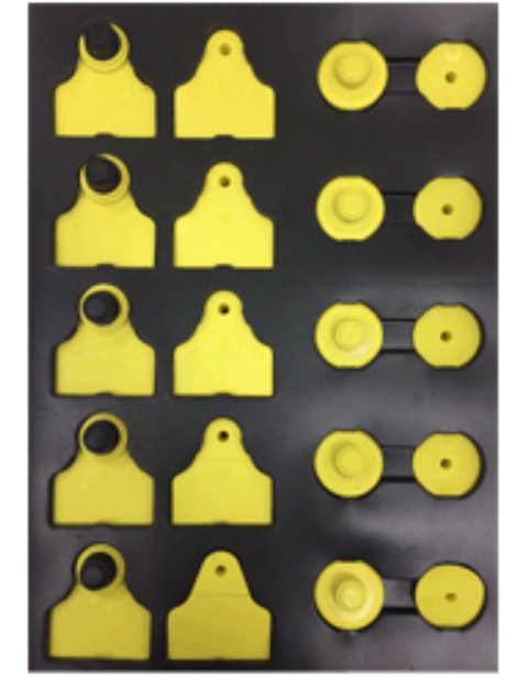Foto deKits de identificadores oficiales de ganados