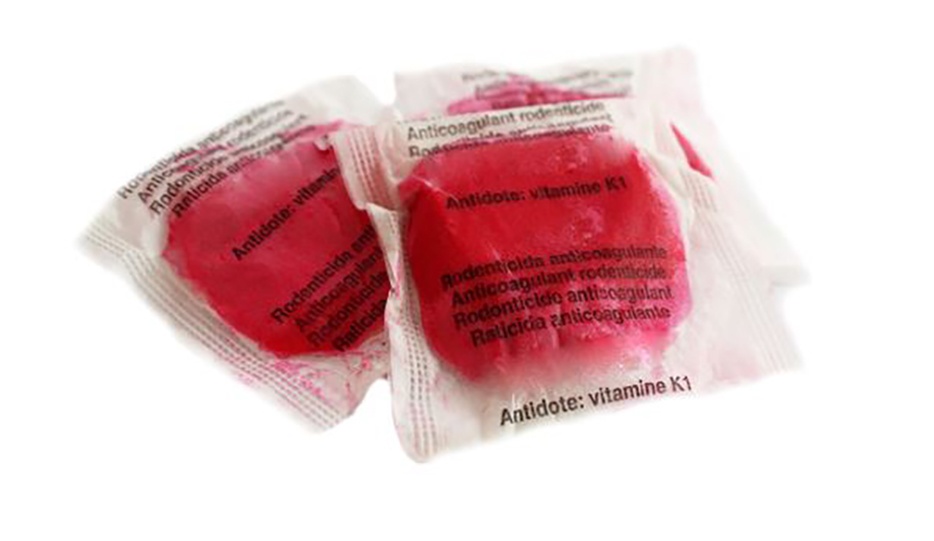 Foto de Cebos frescos