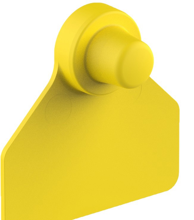 Foto deCortales de ganado