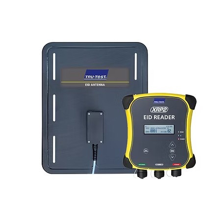 Foto deLectores de manga