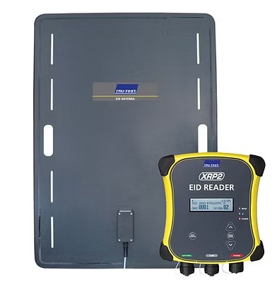 Foto deLectores de manga