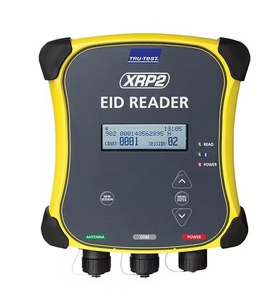 Foto de Lectores de manga