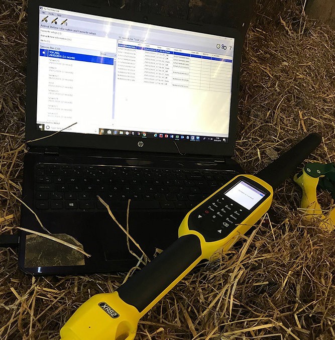 Foto deLectores de mano