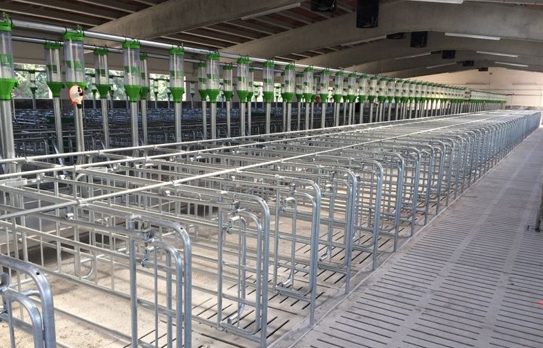 Foto deBoxes de libre acceso