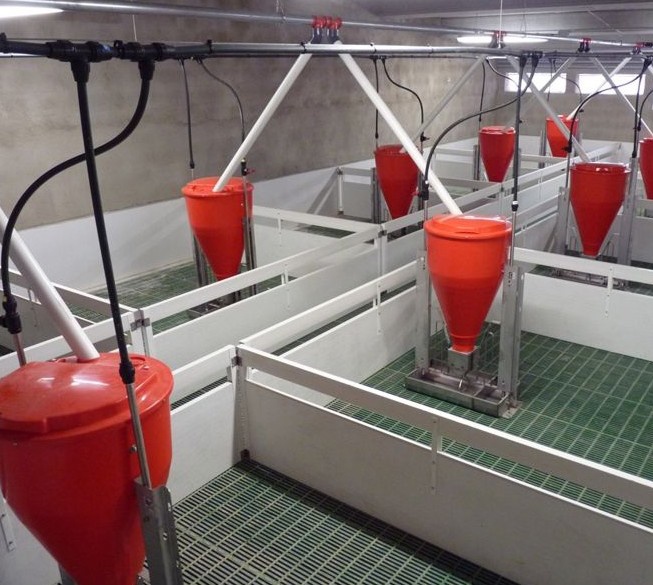 Foto deTolvas para destete